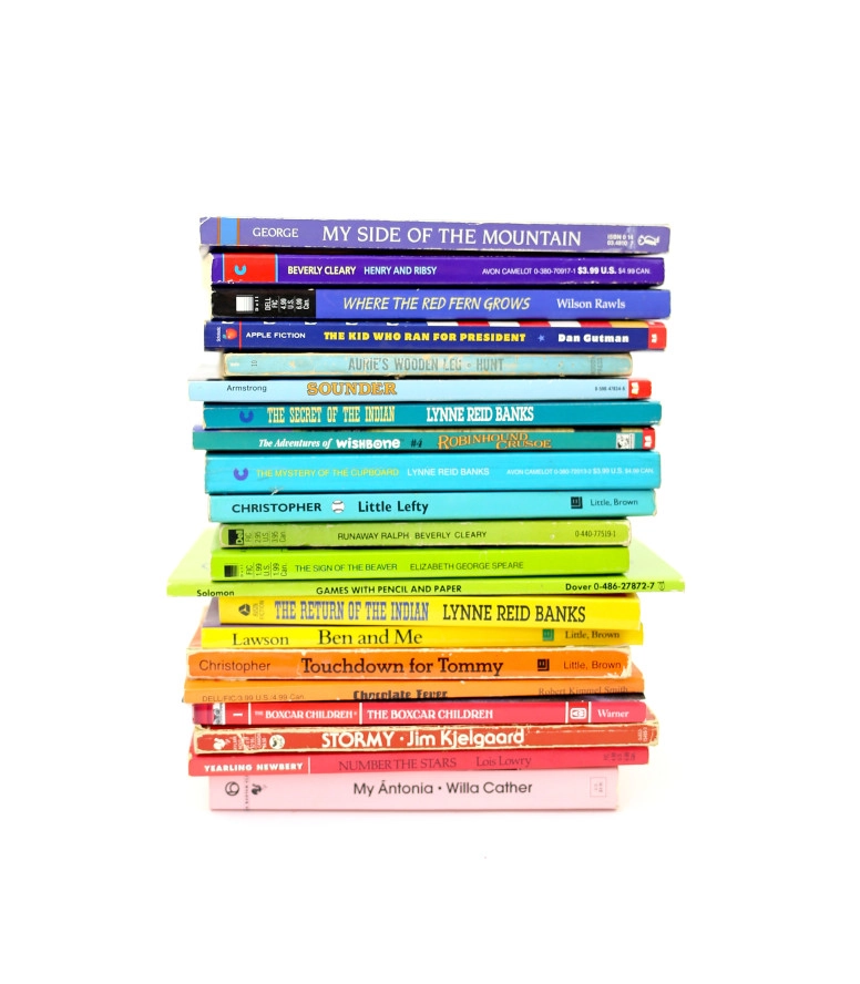 a-stack-of-books-organized-in-rainbow-order_t20_EOQJN1 a-stack-of-books-organized-in-rainbow-order_t20_EOQJN1